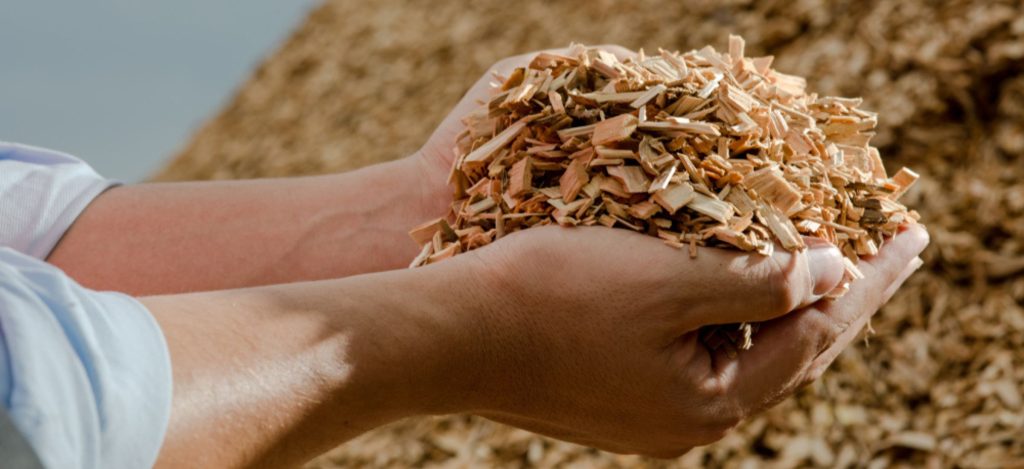 Wood Chips Biofuel - A low-cost and widely available biomass fuel