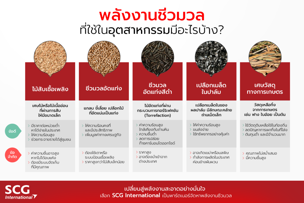 Blog 01_เชื้อเพลิงชีวภาพ เชื้อเพลิงชีวภาพ