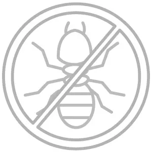 à¸_ลวà¸_à¹_มà¹_à¸_ิà¸_