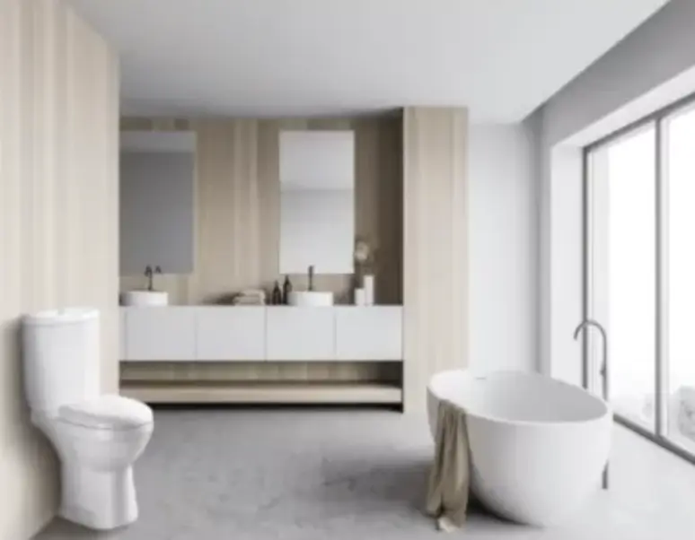 ฟิโอน่า-ผลิตภัณฑ์ด้านสุขภัณฑ์