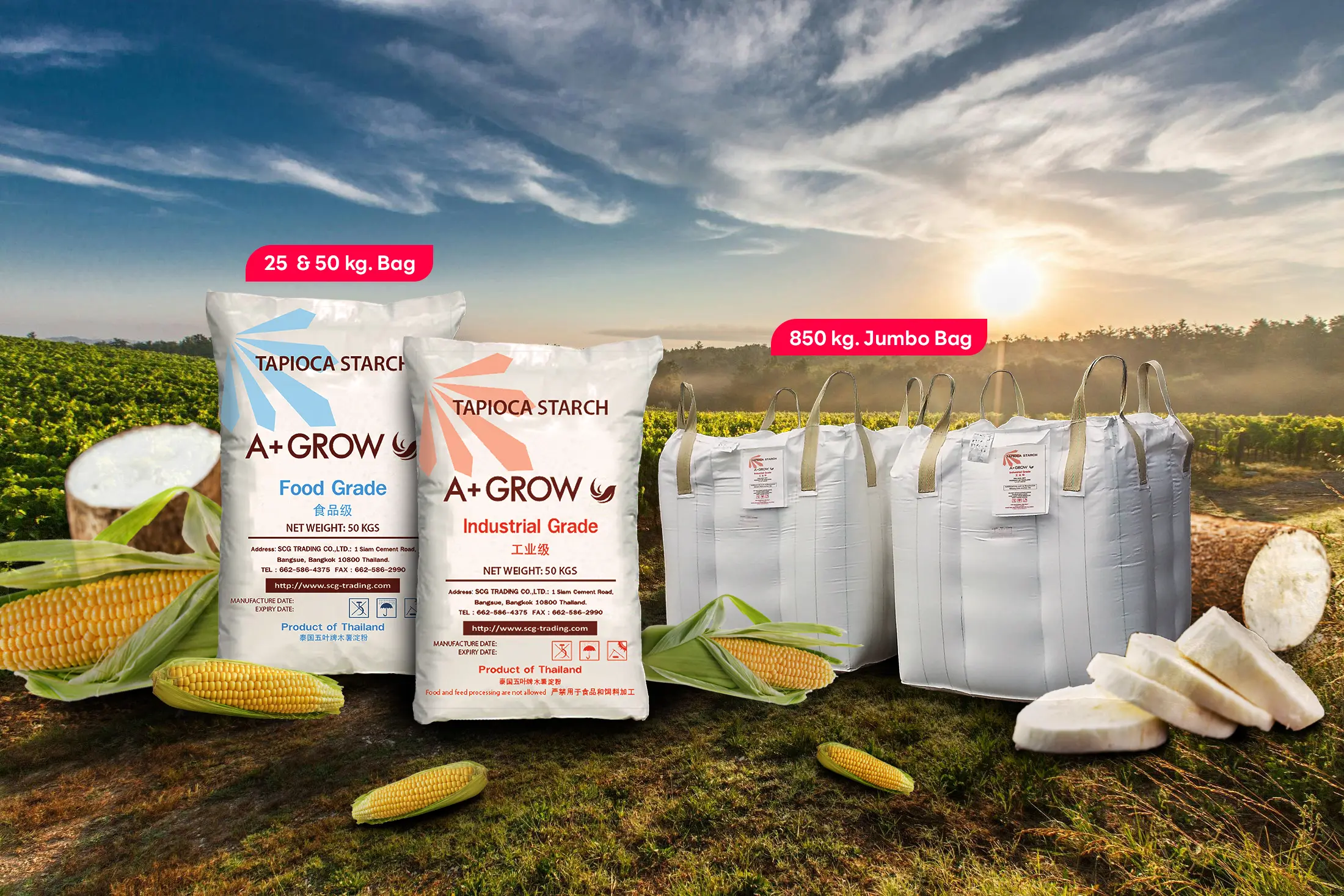 pic starth A+ Grow is an industrial and food-grade starch supplier
