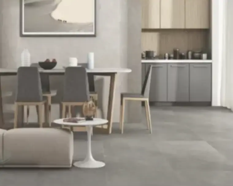 ฟิโอน่า-แผ่นกระเบื้องเซรามิก