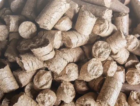 HKxVxYTm-shutterstock_1776762089@2x Quality alternative fuels by SCG International