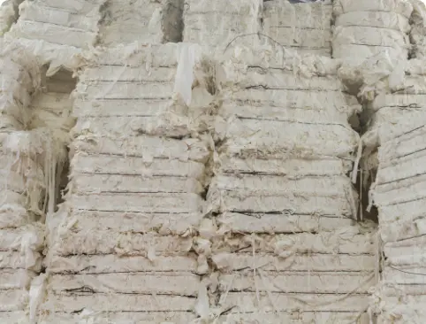 shutterstock_253995724@2x SCG International is a leading supplier of pulp industrial paper manufacturer